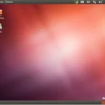 kiwi linux