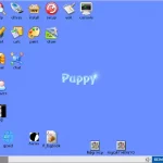 digipup