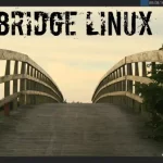 bridge linux