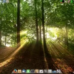 simplicity linux