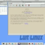 luit linux