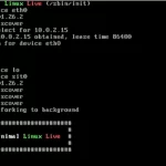 minimal linux live