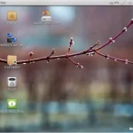 helal linux