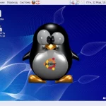 ubuntu junior